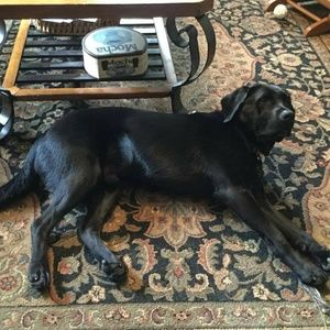 Meet your Posher, Fred